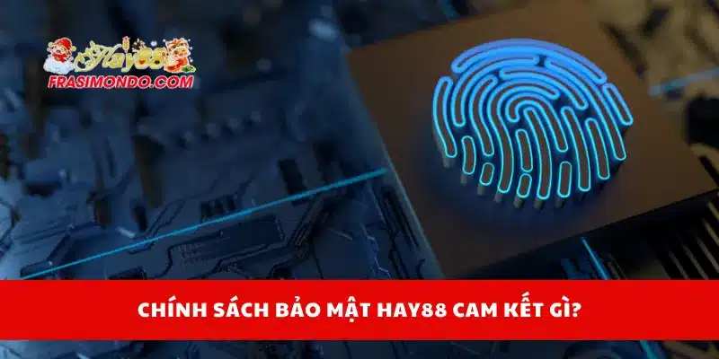 Chính sách bảo mật Hay88 cam kết gì?