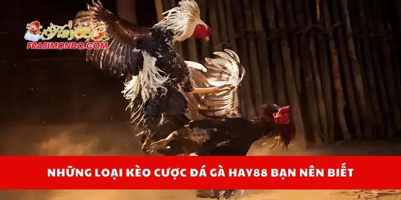 Những loại hình có tại sảnh đá gà Hay88