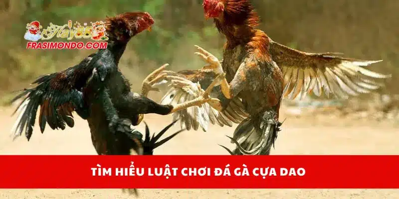 Đá Gà Cựa Dao Online Hay88 – Luật Chơi Và Mẹo Thắng Lớn 3 Tìm hiểu luật chơi đá gà cựa dao